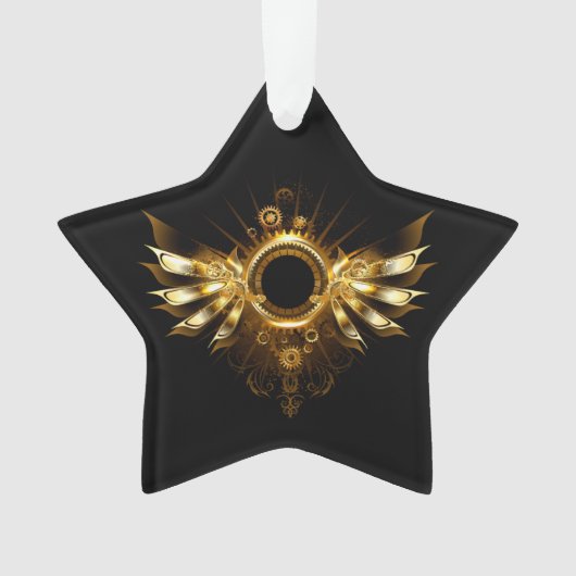 Ailes de Steampunk (devant)