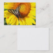 Ailes d'été, carte de visite (Devant / Derrière)