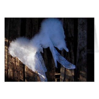 Ailes et dentelle - carte vierge