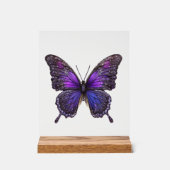Ailes rides, Papillon pourpre (Recto)