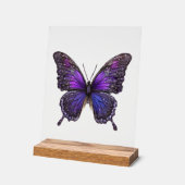Ailes rides, Papillon pourpre (Angle)