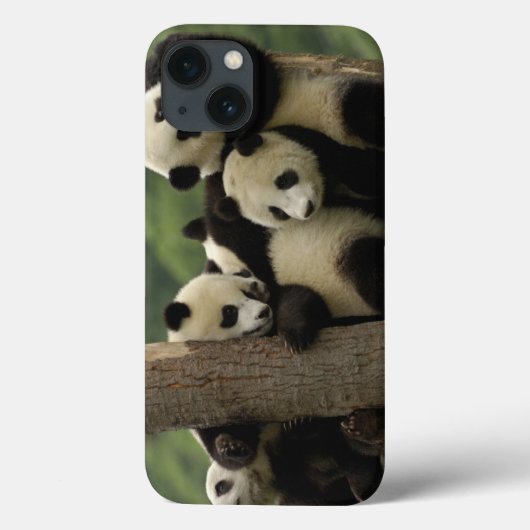 Ailuropoda melanoleuca) 4 Case-Mate iPhone case (Achterkant)