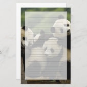 Ailuropoda melanoleuca) briefpapier (Voorkant / Achterkant)