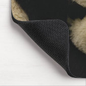 Ailuropoda melanoleuca) muismat (Hoek)