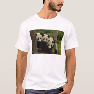 Ailuropoda melanoleuca) t-shirt