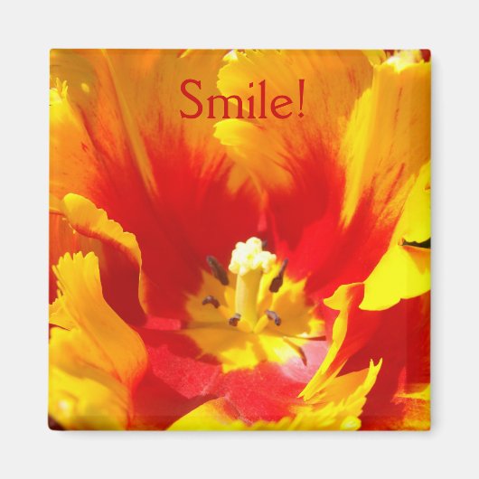 Aimable ! aimants Tulipe aimant Rouge Jaune Floral (Devant)