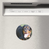 Aimable Rottweiler Magnet (In Situ (Lave-vaisselle))