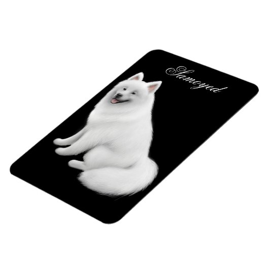 Aimable Samoyed Chien Premium Magnet (Côté Gauche)