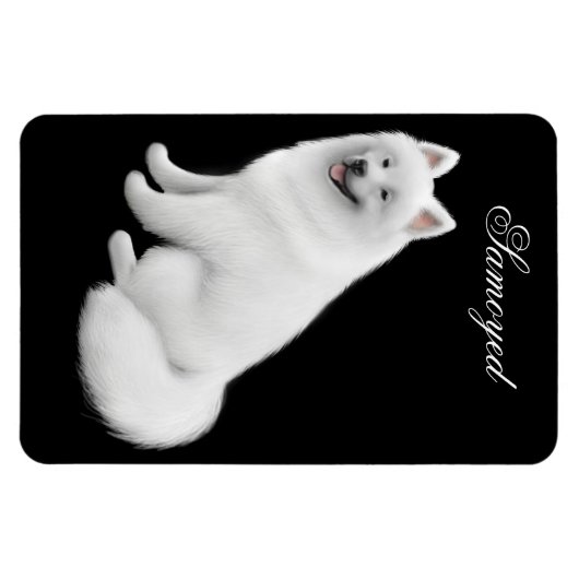 Aimable Samoyed Chien Premium Magnet (Horizontal)
