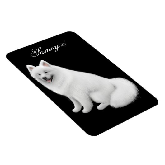 Aimable Samoyed Chien Premium Magnet (Côté Droit)
