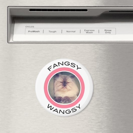 Aimant (In Situ (Lave-vaisselle))