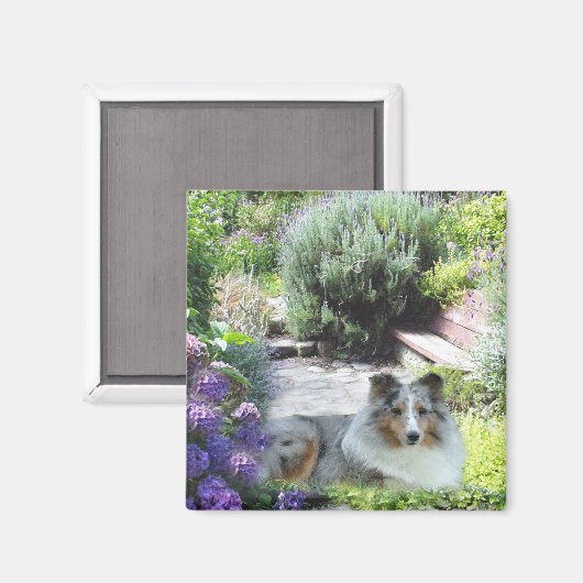 Aimant (Recto/Verso)