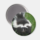 Aimant (Recto/Verso)