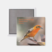 aimant (Recto/Verso)