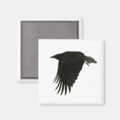 aimant (Recto/Verso)