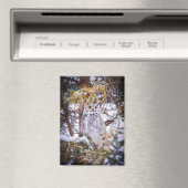 Aimant (In Situ (Lave-vaisselle))