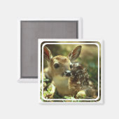 Aimant (Recto/Verso)