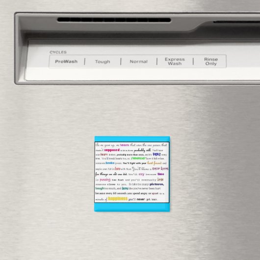 aimant (In Situ (Lave-vaisselle))