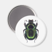 AIMANT オオセンチコガネ (Recto/Verso)