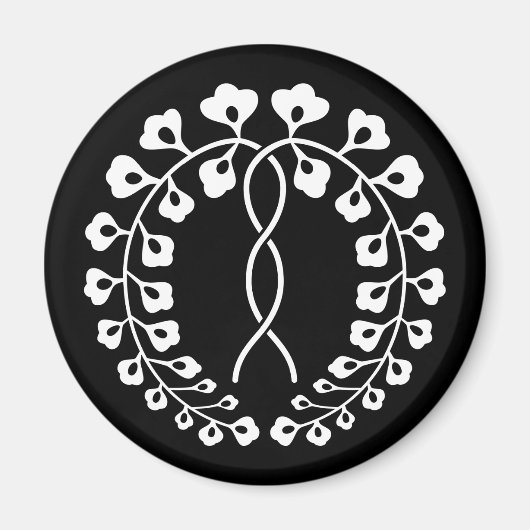 AIMANT 一 藤 条 (Devant)