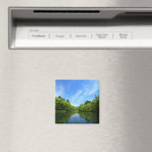 AIMANT 軽井沢・夏の雲場池 (In Situ (Lave-vaisselle))