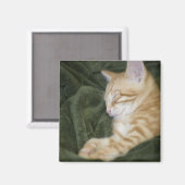 AIMANT 0 2 (Recto/Verso)