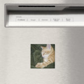 AIMANT 0 2 (In Situ (Lave-vaisselle))