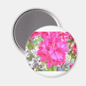 AIMANT 100_0292 (Recto/Verso)