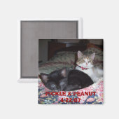 AIMANT 105_1036, PICKLE & PEANUT 4/22/07 (Recto/Verso)