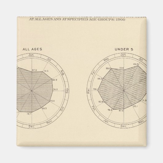 Aimant 113 Décès par mois 1900 (Devant)