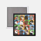 Aimant 16 Profils nord-américains de Raptor (Recto/Verso)