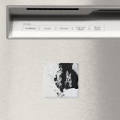 Aimant 18 janvier 2010 - Mer de Ross, Antarctique (In Situ (Lave-vaisselle))