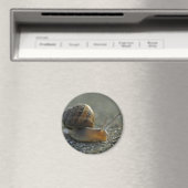 Aimant 1 escargot (In Situ (Lave-vaisselle))