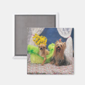 AIMANT 24095240 (Recto/Verso)