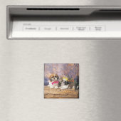 AIMANT 24095243 (In Situ (Lave-vaisselle))