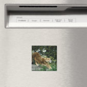 AIMANT 24114343 (In Situ (Lave-vaisselle))