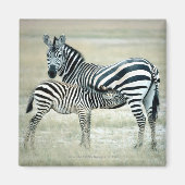 AIMANT 24114480 (Devant)