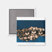 AIMANT 24117057 (Recto/Verso)