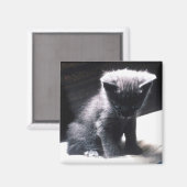 AIMANT 24117556 (Recto/Verso)