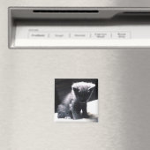 AIMANT 24117556 (In Situ (Lave-vaisselle))