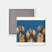 AIMANT 24119671 (Recto/Verso)