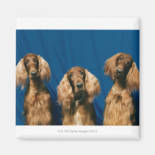 AIMANT 24119671 (Devant)