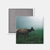 AIMANT 24121885 (Recto/Verso)