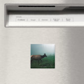 AIMANT 24121885 (In Situ (Lave-vaisselle))