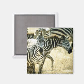 AIMANT 24123844 (Recto/Verso)