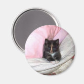 Aimant 29154_Muffin-the-Cat_620 (Recto/Verso)