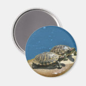 Aimant 2 tortues sur un rocher (Recto/Verso)