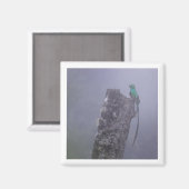 Aimant 2x2 resplendant Quetzal (Recto/Verso)