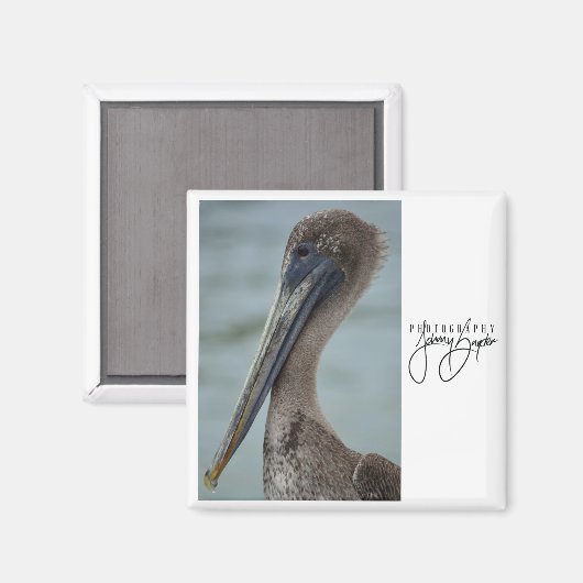 Aimant 2x2 St. Pete Pelican (Recto/Verso)