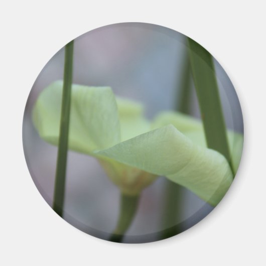 Aimant 30 avril Fleur dans l'herbe (Devant)